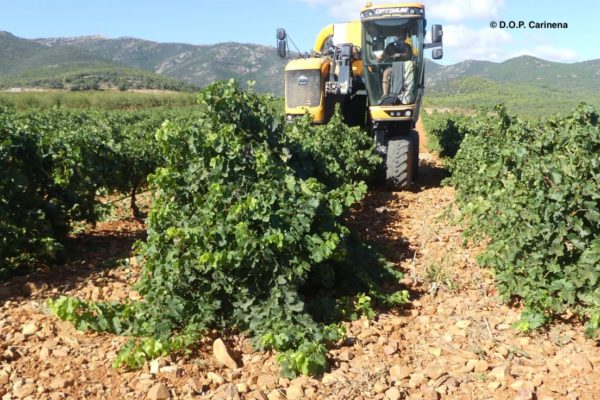 La FEV recuerda la importancia de los contratos a largo plazo para fomentar relaciones comerciales estables
