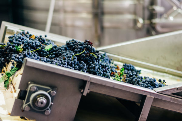 El Gobierno de La Rioja aumenta el apoyo al seguro agrario hasta los 4 millones de euros