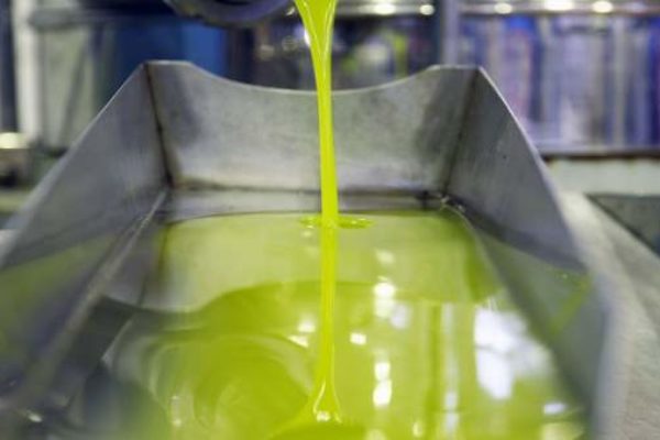 El aceite cierra la campaña con récord de salidas