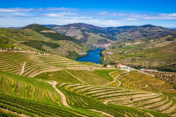 Bajan las exportaciones de vinos portugueses pero aumentan su precio
