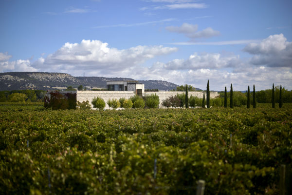 Finca Rodma, vinos tintos exclusivos que aúnan tradición y vanguardia en la “milla de oro” de Ribera del Duero