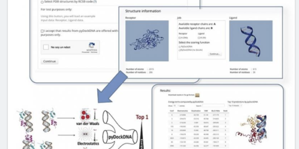 El ICVV ha implementado un nuevo servidor web de bioinformática estructural