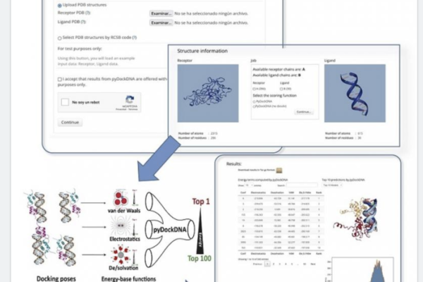 El ICVV ha implementado un nuevo servidor web de bioinformática estructural