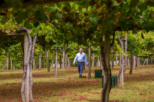 Rías Baixas: la séptima Denominación de Origen de Carlos Moro