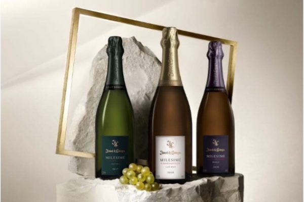 Milesimé Parcelarios, la interpretación más singular y elegante del terroir por Juvé & Camps