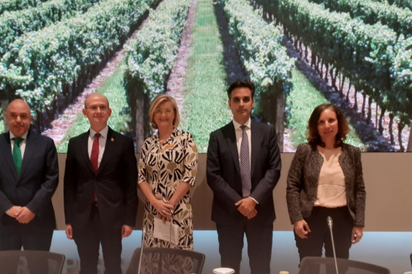 “Nos centramos mucho en apagar la luz y consumir menos, pero lo de negociar un precio lo  tenemos más abandonado”