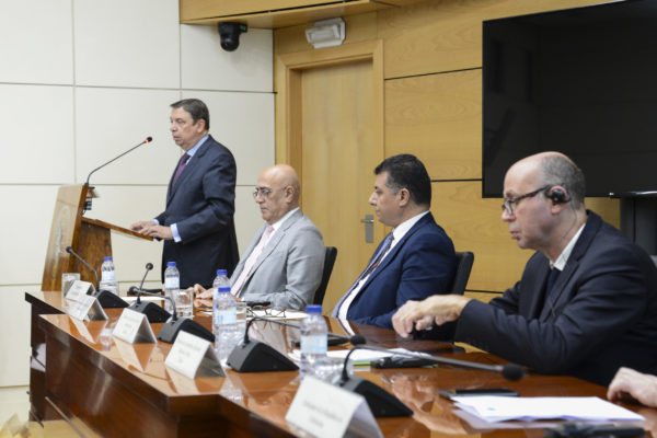 Luis Planas subraya la importante contribución del olivar para la dinamización económica y vertebración social de los territorios rurales