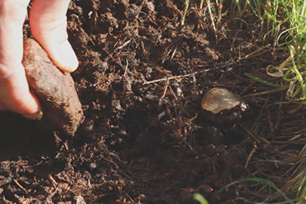Nace SOILBIO, un proyecto que investigará los efectos del manejo agrícola de los suelos sobre su biodiversidad