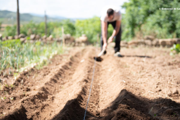La Rioja convoca diversas ayudas del Programa de Desarrollo Rural dotadas con 5,2 millones de euros