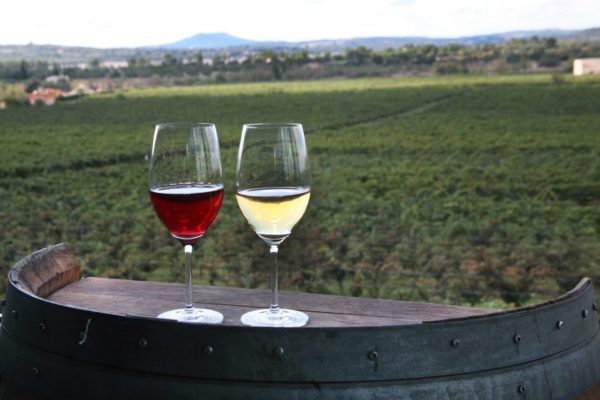 Los vinos de calidad diferenciada de Baleares alcanzan la producción más alta de la historia