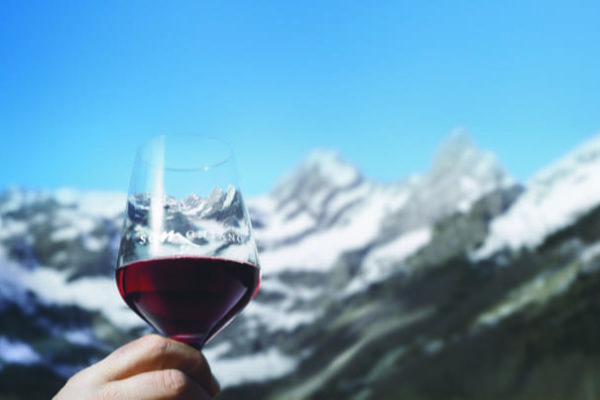 Los vinos de la D.O.P. Somontano han logrado en 2022 récord de ventas