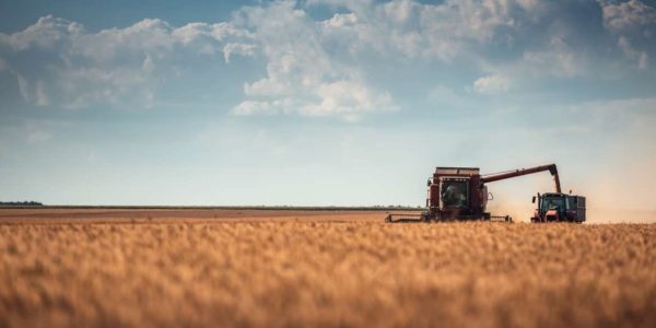 Publicada la convocatoria de contratación de seguros agrarios en Extremadura con un montante de ocho millones de euros