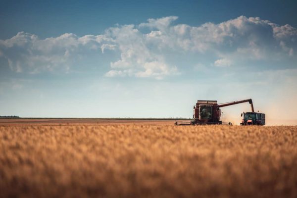 Publicada la convocatoria de contratación de seguros agrarios en Extremadura con un montante de ocho millones de euros