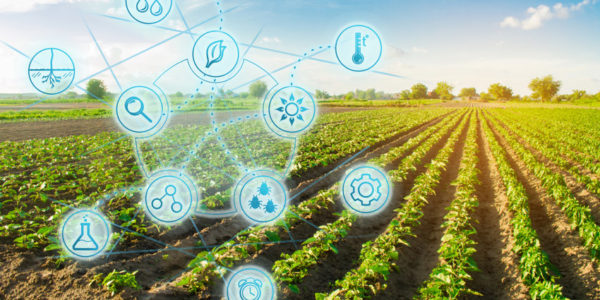 Castilla y León promoverá la transformación digital de la agroindustria a través del programa PAN