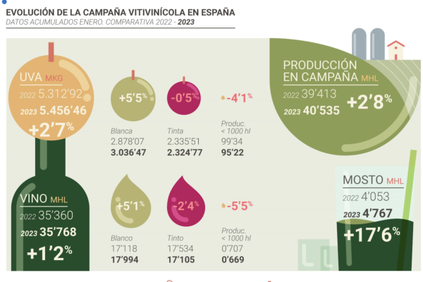 La producción de vino sube en enero un 1,2% respecto al año anterior