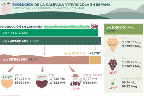 Baja la estimación de consumo nacional de vino un 10% en los siete primeros meses de la campaña