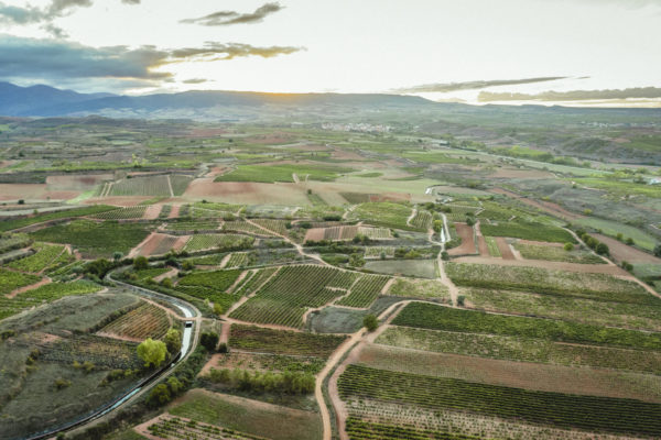 Vintae compra la bodega Cuna de Reyes para dar solidez a su proyecto Viñedos El Pacto