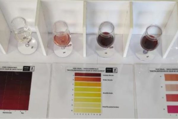Nuevo hito en el control de la calidad de los vinos empleando herramientas de las ciencias sensoriales