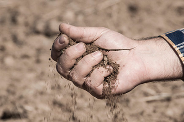 Situación agónica en el campo español por la sequía