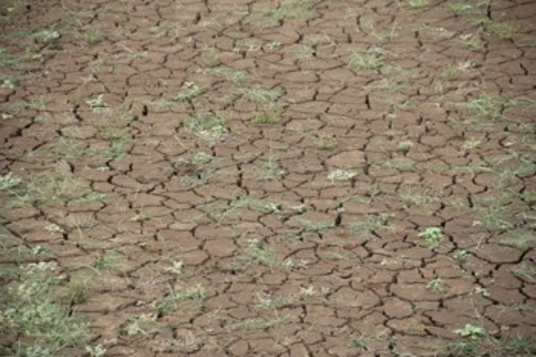 Unión de Uniones considera que las ayudas del Gobierno se quedan cortas para la gravedad de la crisis y que deberá ampliarlas según evolucione la sequía