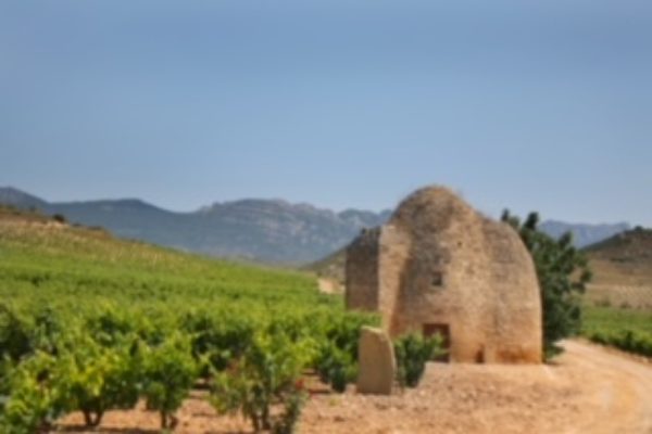 Viñedos y Bodegas Sierra Cantabria deposita su confianza en Hijos de Rivera para la comercialización de sus vinos en Galicia y Portugal