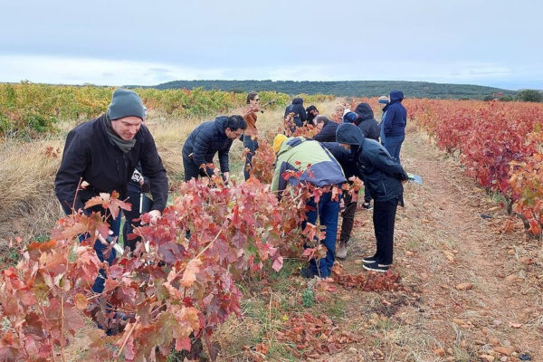 Abierta la inscripción para el programa internacional ‘Formador Oficial en Vinos de Rioja 2023’