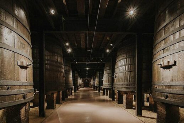 La D.O.Ca. Rioja se prepara para celebrar el World’s Best Vineyards