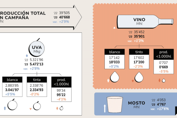 Baja el consumo de vino un 7,9% en datos interanuales a junio