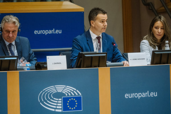 Héctor Gómez expone en el Parlamento Europeo las prioridades de la presidencia española