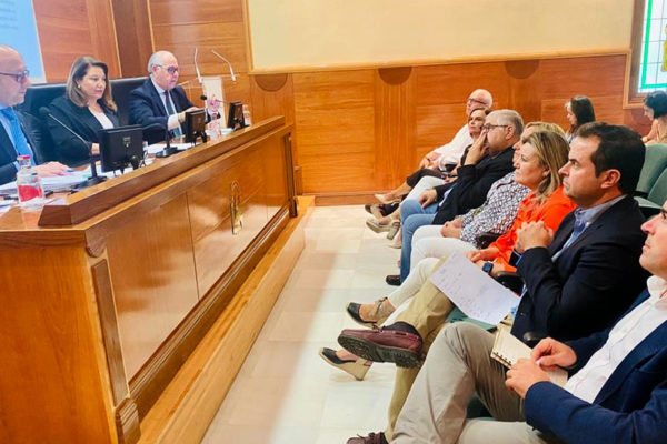Andalucía rozará las 800.000 toneladas de aceite tras la ligera subida y el enlace de campaña