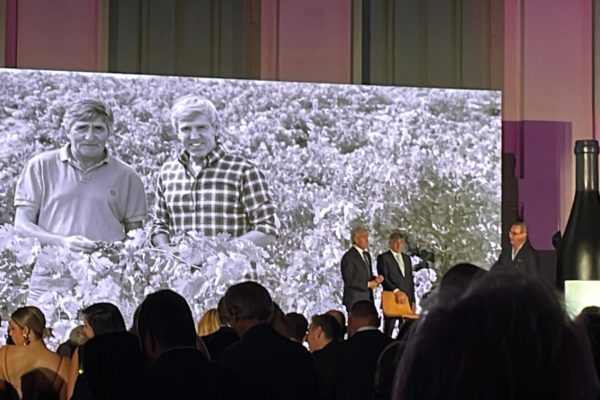 Bodegas Cepa 21 celebra su XXI cumpleaños