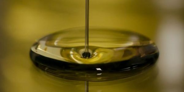 Las previsiones de producción de aceite de oliva en España se sitúan en 765.300 toneladas para la campaña 2023/24