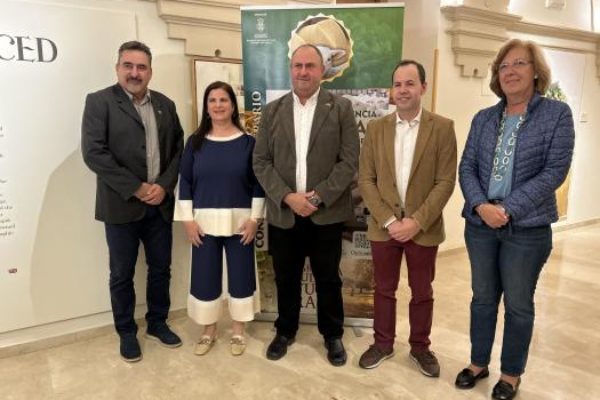Castilla-La Mancha ha resuelto 63,2 millones de euros en ayudas a la reestructuración del viñedo