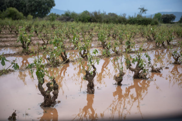 El MAPA analizará el contenido en carbono de los suelos agrícolas de España