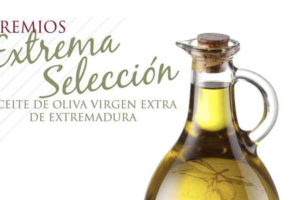 Extremadura convoca la XXV de Cata Concurso de Aceites de Oliva Virgen Extra ‘Extrema Selección 2024’