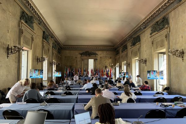 La producción mundial de vino en 2023 será la más baja de los últimos 60 años