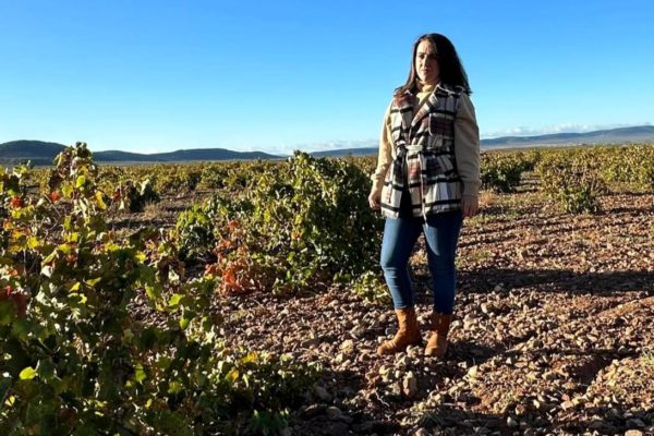 Castilla-La Mancha hace llegar a más de 21.000 perceptores de la provincia de Toledo casi 56 millones de euros del anticipo de la PAC