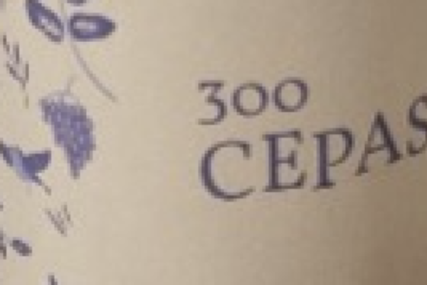 Vino 300 Cepas