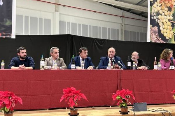 Las exportaciones de vino envasado con D.O. de Castilla-La Mancha facturaron un 19,4% más que en 2022