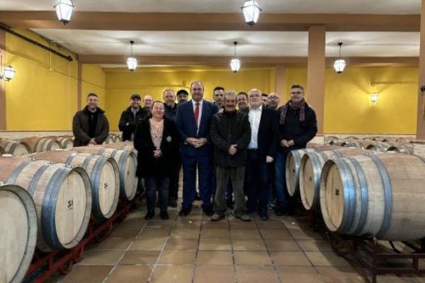 Castilla-La Mancha cierra la última campaña con una producción definitiva de vino y mosto de 17,5 millones de hectólitros