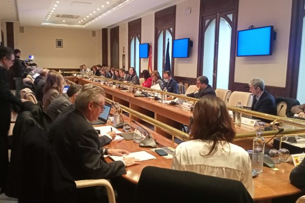 Balance del primer año de aplicación del Plan Estratégico de la Política Agraria Común
