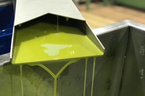 La producción de aceite llega a las 94.000 toneladas en el tercer mes de campaña