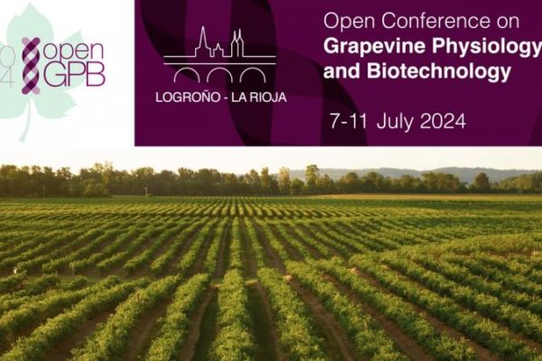 El ICVV organiza en Logroño la “Open International Conference on Grapevine Physiology and Biotechnology 2024 (Open-GPB2024)”
