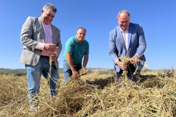 Castilla-La Mancha abre el plazo para solicitar la PAC y otras ayudas de desarrollo rural
