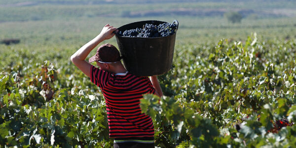 La Rioja presenta una nueva orden de ayudas para inversiones en modernización de explotaciones agrarias ampliamente mejorada