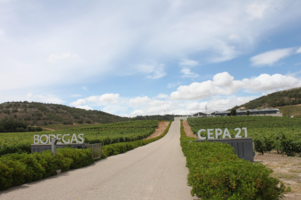 Un desconocido vacía 60.000 litros de vino en la bodega Cepa21