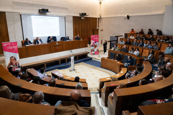 La D.O. Cigales presenta una añada con gran potencial