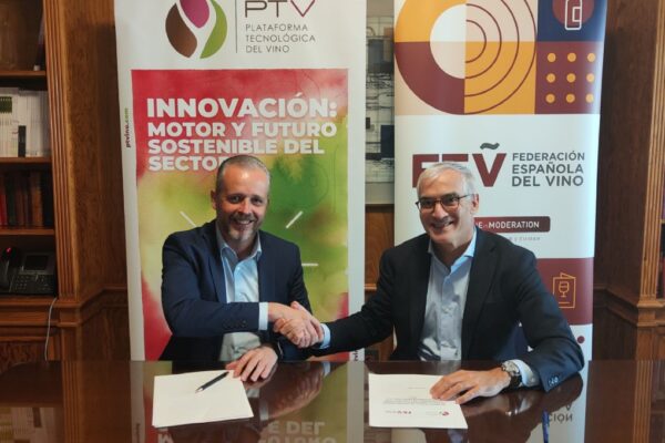 La FEV y la PTV continúan trabajando de la mano por la innovación del sector del vino