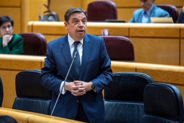 Luis Planas: España solicitó a la Comisión Europea cambios sobre la PAC tras escuchar a agricultores y ganaderos