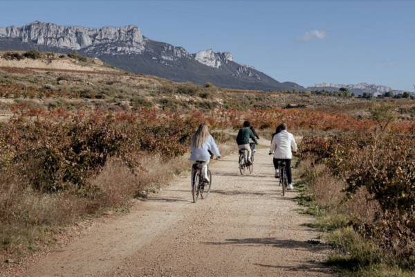 Rioja batió el record en enoturismo y mantuvo su posición como líder en los mercados del vino en 2023